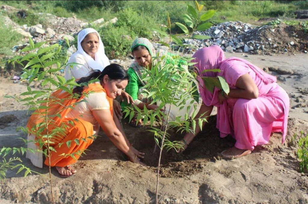 संयम और प्रकृति संरक्षण