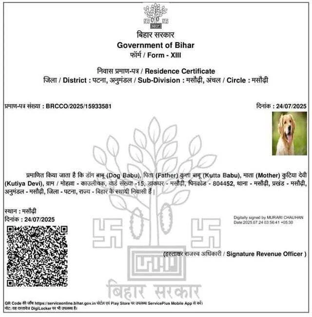 अज़ब सरकारी बाबुओं के गज़ब कारनामे, “डॉग बाबू” का बना दिया आवासीय प्रमाण पत्र