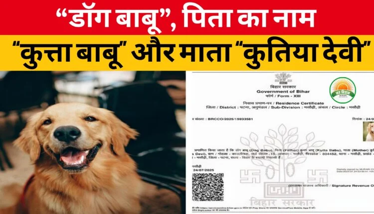 “डॉग बाबू”, पिता का नाम “कुत्ता बाबू” और माता “कुतिया देवी”