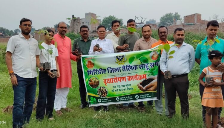 प्राकृतिक संतुलन के लिए वृक्षारोपण जरूरी